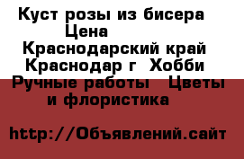 Куст розы из бисера › Цена ­ 1 000 - Краснодарский край, Краснодар г. Хобби. Ручные работы » Цветы и флористика   